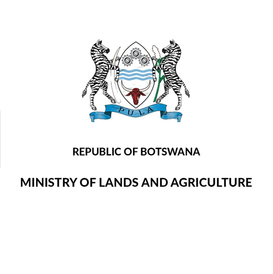 IMPOSITION OF IMPORT RESTRICTION ON WHITE ONION