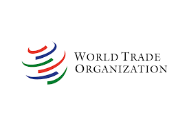 WTO announces first cohort of Young Trade Leaders

